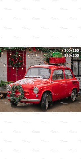 Tło fotograficzne Ch89